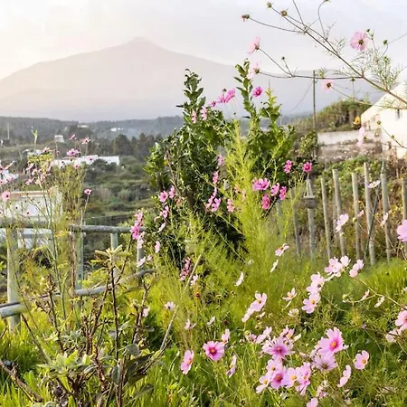 Дом отдыха Espacio Antares