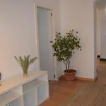 Nyaraló Espacio Antares Icod de los Vinos