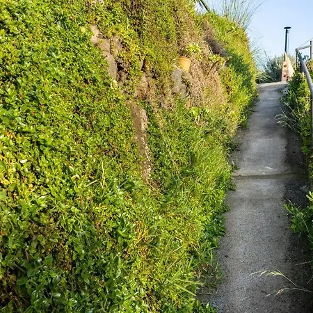 度假居 Espacio Antares 伊科德·德·洛斯·维诺斯